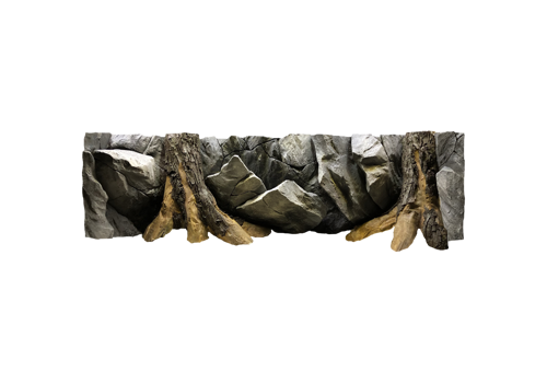 B 10 - Amazonian Tree Trunk
