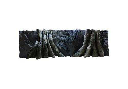 B 2 - Amazonian Tree Trunk