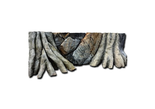 B 4 - Amazonian Tree Trunk