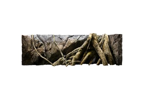 B 6 - Amazonian Tree Trunk