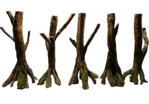 D 33 Plus - Amazonian roots with Moss