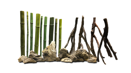 D 17 – Rocks