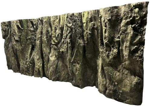 E 18 - Slim Amazonian Background