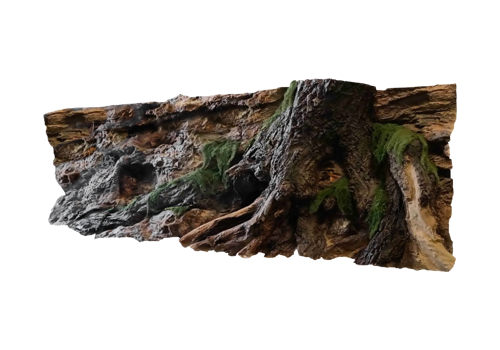 E 5 - Slim Amazonian Background