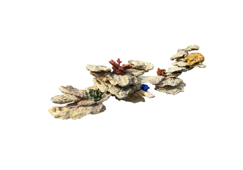 H 2 - Reef with artificial corals