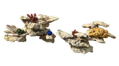 H 1 - Reef
