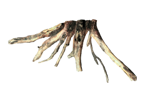 S 3 – Back panel roots