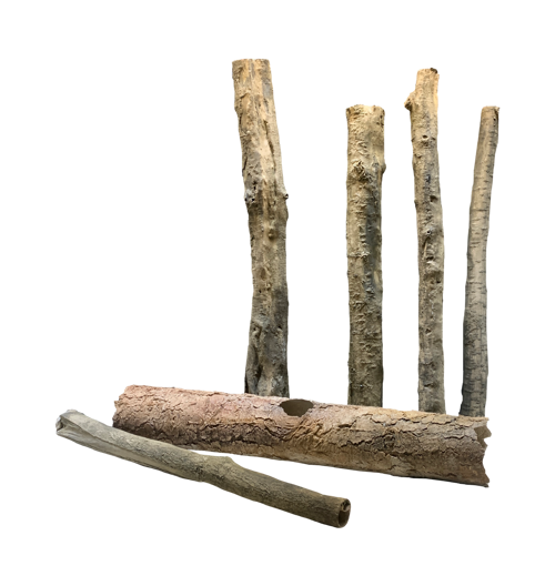 Set 4