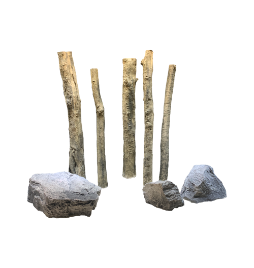 Set 5