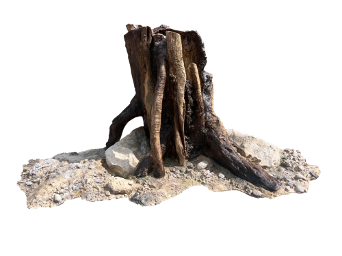 V1 - Tree trunk centerpiece