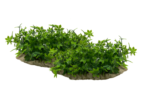 Z 14 Model - Aquarium Plant