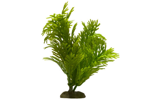Z 2 Model - Aquarium Plant
