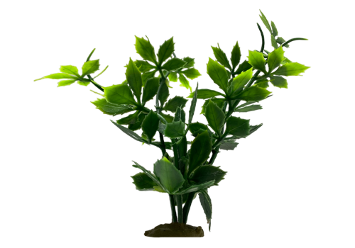 Z 3 Model - Aquarium Plant
