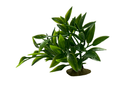 Z 5 Model - Aquarium Plant