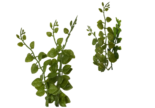 Z 8 Model - Aquarium Plant