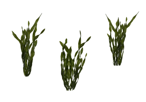 Z 9 Model - Aquarium Plant