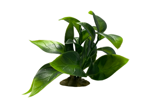 Z 13 Model - Aquarium Plant